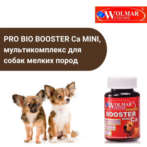 ВОЛМАР Pro Bio BOOSTER Ca MINI мультикомплекс д/собак мелких пород, 180табл.