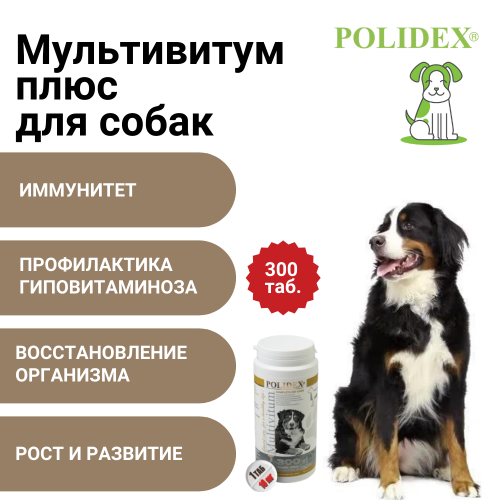 POLIDEX Мультивитум плюс д/ собак 300т