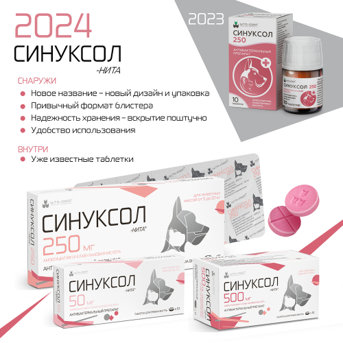 СИНУКСОЛ таб. 250 мг №10