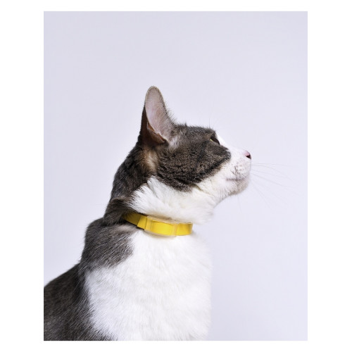 ЧЕТЫРЕ С ХВОСТИКОМ ошейник репеллентный для кошек 35 см (желтый)