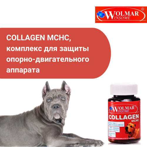 ВОЛМАР COLLAGEN MCHC комплекс для защиты опорно-двиг.аппарата, 180табл