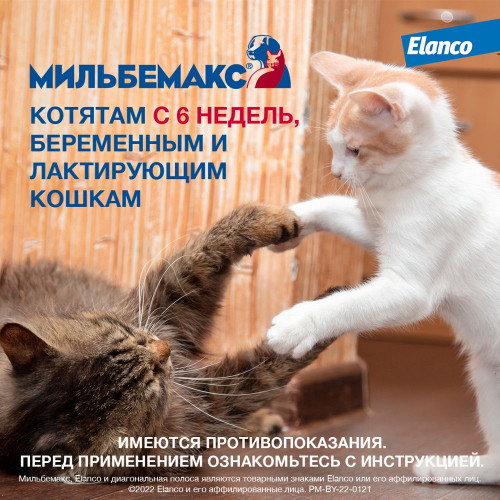Мильбемакс таб.для котят и маленьких кошек №2