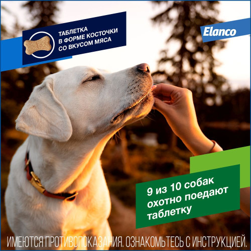 Дронтал Плюс таб.для крупных собак со вкусом мяса XL №2