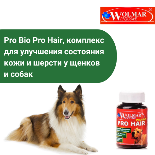 ВОЛМАР Pro Bio PRO HAIR комплекс д/собак для кожи и шерсти, 180т