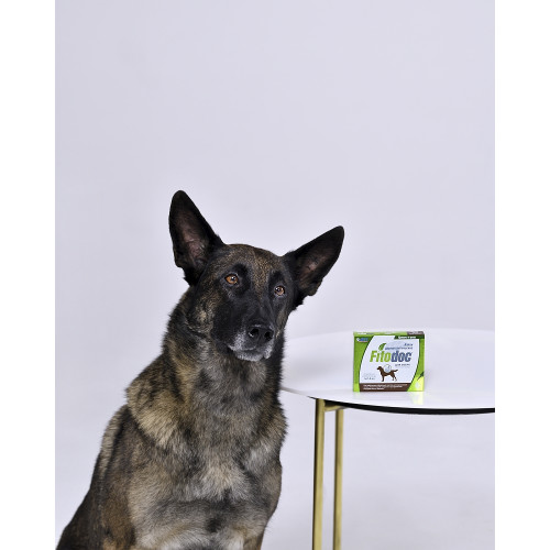 ФИТОДОК капли дерматологические для крупных пород собак от 40 до 60 кг, 4 пип. по 1,8мл