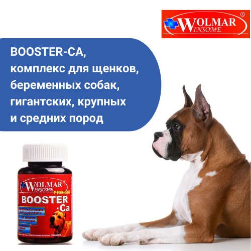 ВОЛМАР Pro Bio BOOSTER Ca мультикомплекс д/щенков и берем. собак сред. и круп. пород, 180табл. /1шт