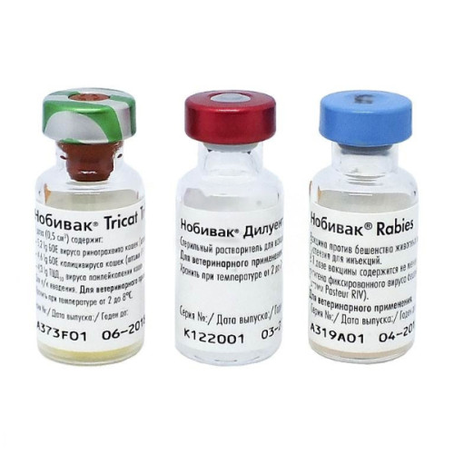 Комплект Нобивак Tricat Trio + растворитель + Нобивак Rabies