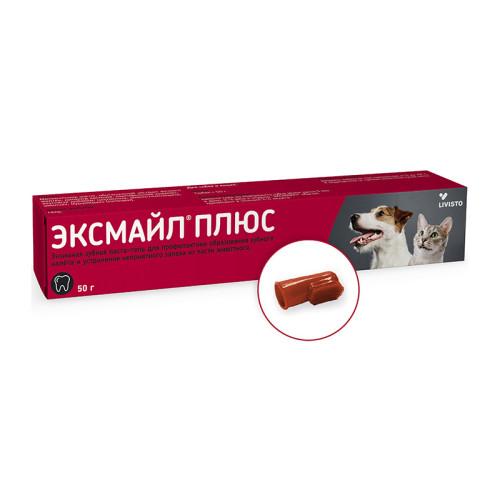 Эксмайл Плюс, гель для ухода за зубами, туба 50 г