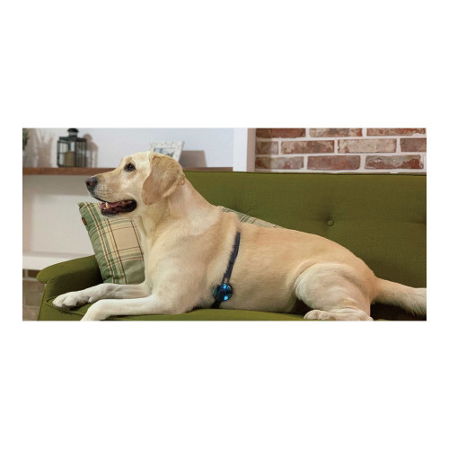 Электронный стетоскоп WithaPET