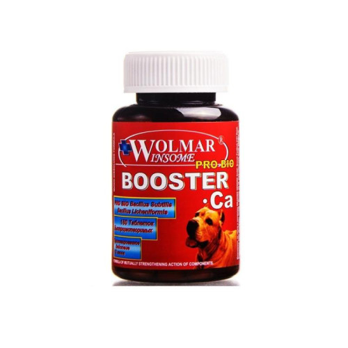 ВОЛМАР Pro Bio BOOSTER Ca мультикомплекс д/щенков и берем. собак сред. и круп. пород, 180табл. /1шт