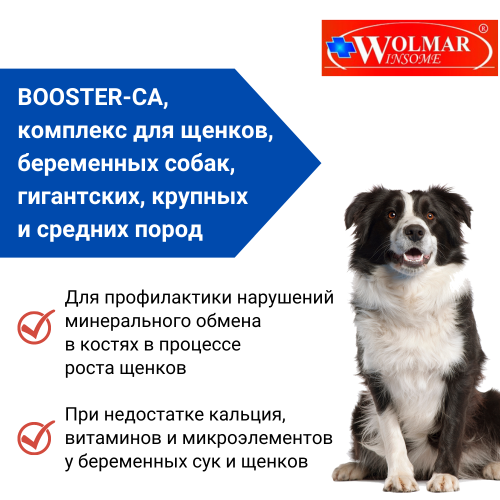 ВОЛМАР Pro Bio BOOSTER Ca мультикомплекс д/щенков и берем. собак сред. и круп. пород, 180табл. /1шт