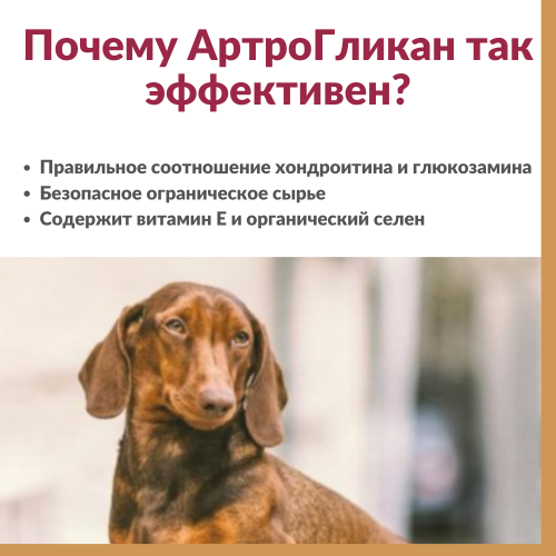 Артрогликан 30таб.