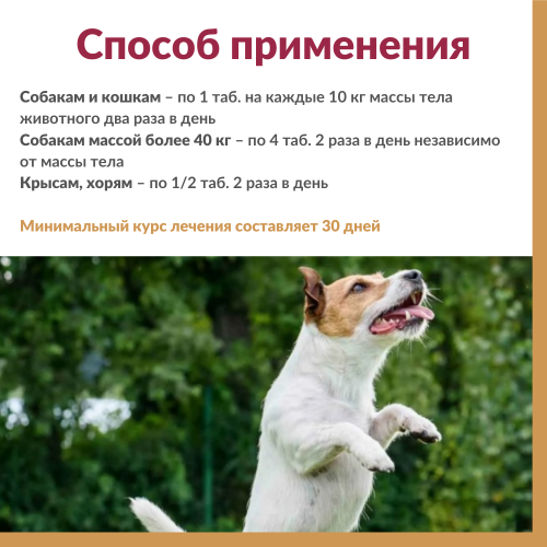 Артрогликан 30таб.
