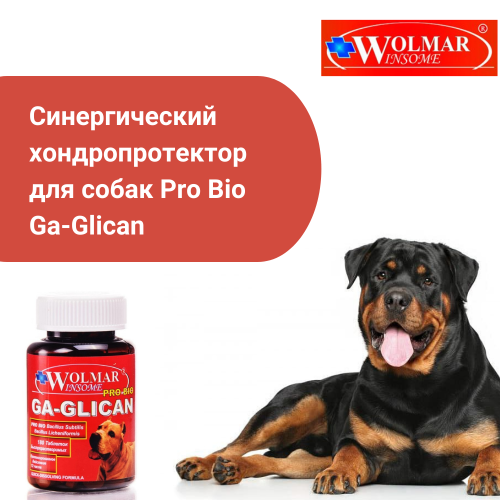 ВОЛМАР Pro Bio GA-GLICAN синергический хондропротектор д/собак, 180т