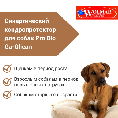ВОЛМАР Pro Bio GA-GLICAN синергический хондропротектор д/собак, 180т