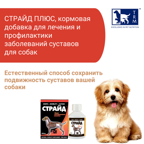 Страйд плюс для собак жидкий 500мл