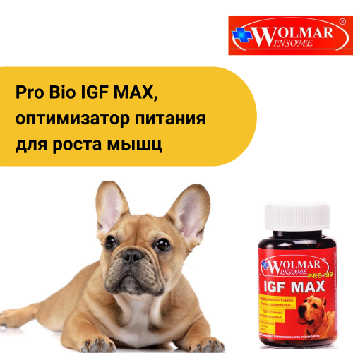 ВОЛМАР Winsome Pro Bio IGF MAX оптимиз-р питания для роста мышц собак, 180табл/1шт