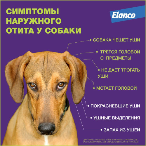Нептра раствор для лечения отитов 1мл №2