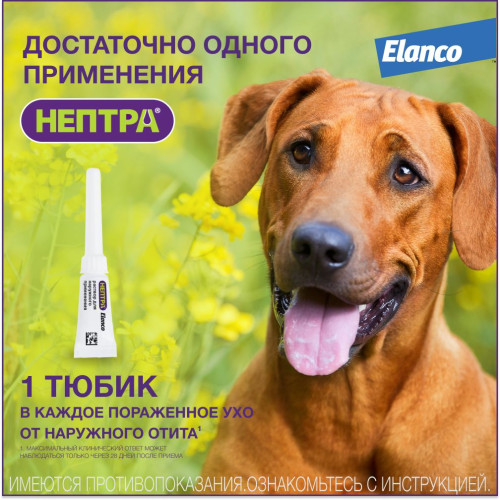 Нептра раствор для лечения отитов 1мл №2