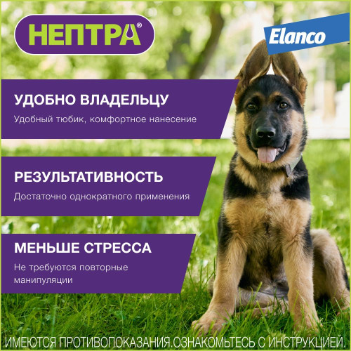 Нептра раствор для лечения отитов 1мл №2
