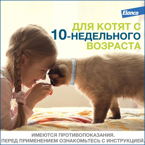 Форесто Ошейник для кошек 38см