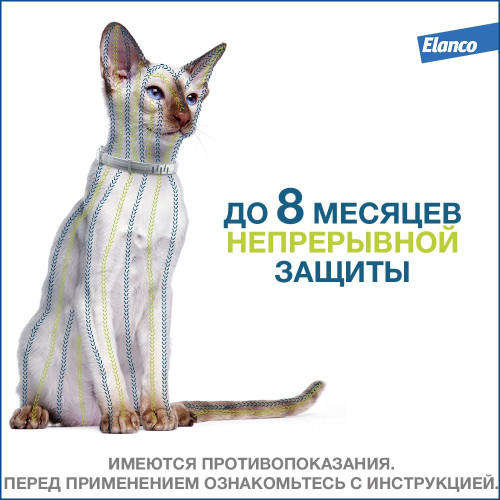 Форесто Ошейник для кошек 38см