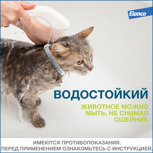 Форесто Ошейник для кошек 38см