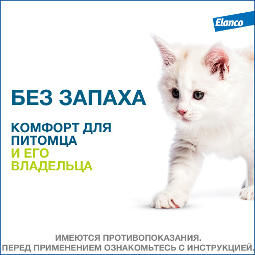 Форесто Ошейник для кошек 38см