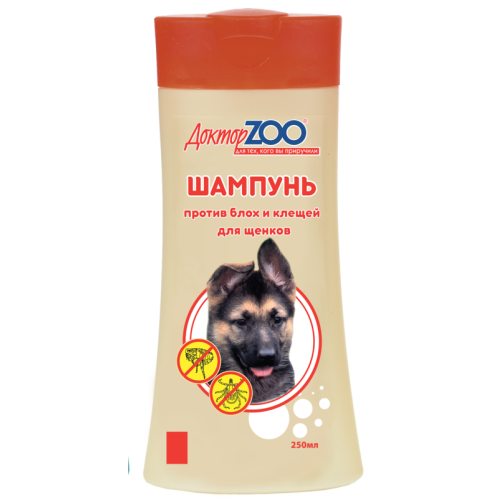 Шампунь