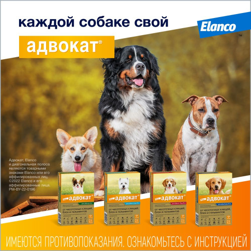 Адвокат 250 Капли для собак 10-25кг 2,5мл №3