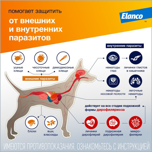 Адвокат 250 Капли для собак 10-25кг 2,5мл №3