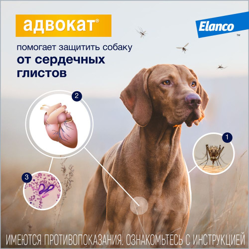 Адвокат 250 Капли для собак 10-25кг 2,5мл №3