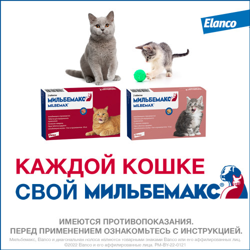 Мильбемакс таб.для котят и маленьких кошек №2
