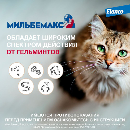 Мильбемакс таб.для котят и маленьких кошек №2