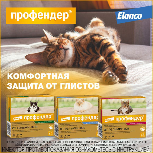 Профендер 1,12мл капли 5,0-8,0кг №2