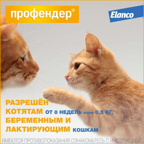Профендер 1,12мл капли 5,0-8,0кг №2