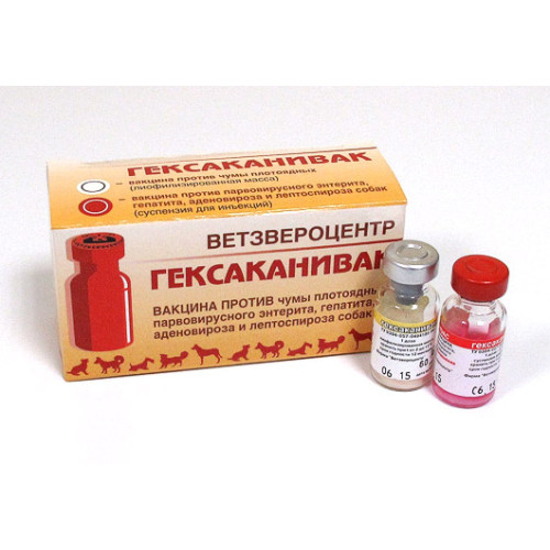 ГЕКСАКАНИВАК Вакцина д/собак /уп.5/100доз