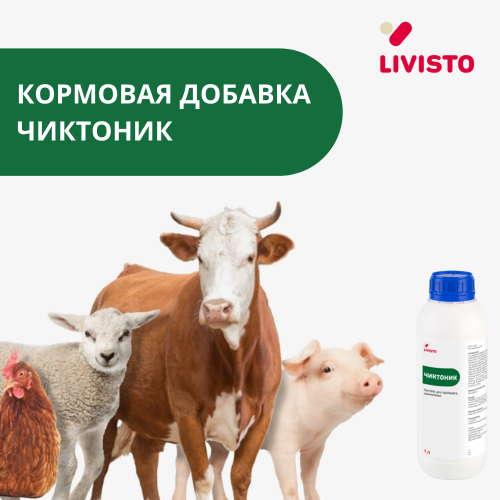 Чиктоник, 1л