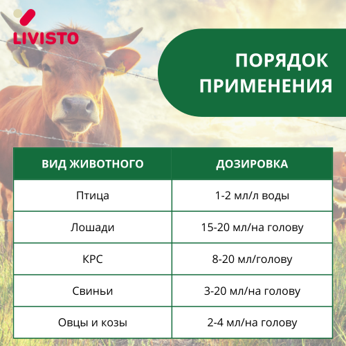 Чиктоник, 1л