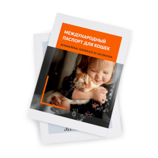 Международный ветеринарный паспорт (свидетельство) о вакцинации кошки