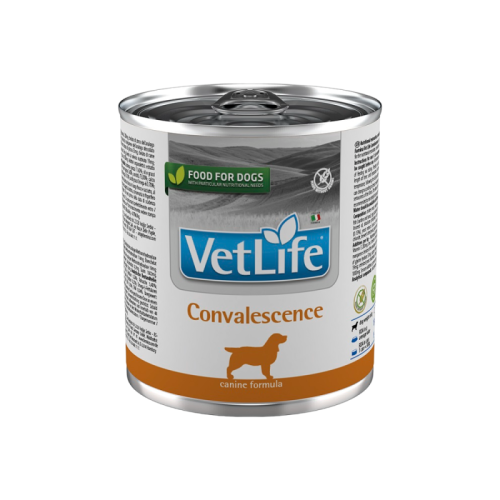 Фармина Vet Life Паштет для собак в период восстановления, 300г