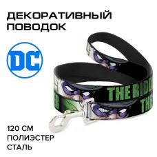 Поводок (Buckle-Down) Загадочник мультицвет 120см