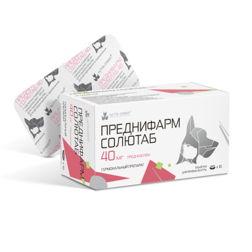 Преднифарм Солютаб 40 мг 10 таб (НИТА) (ЛИЦЕНЗИЯ)